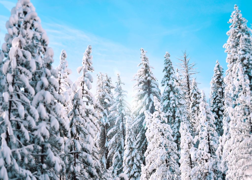 snow